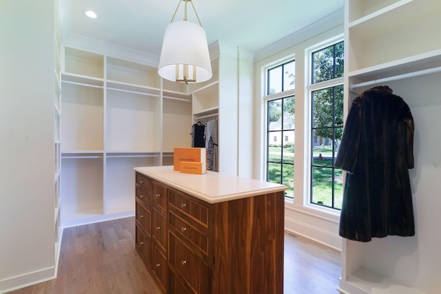 111 Keyway Dr, Nashville, TN 37205 - spacious closet with wood finished floors