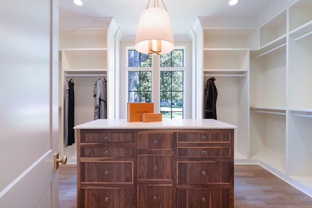 111 Keyway Dr, Nashville, TN 37205 - spacious closet with wood finished floors