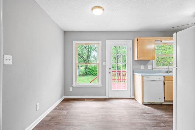 3404 Albert Dr, Clarksville, TN 37042 - kitchen featuring light countertops, light brown cabinetry, a healthy amount of sunlight, and white appliances