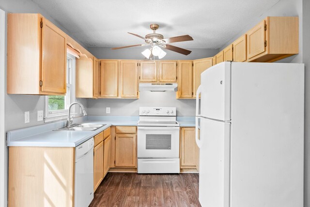 3404 Albert Dr, Clarksville, TN 37042 - kitchen featuring ceiling fan, a sink, light brown cabinets, white appliances, and under cabinet range hood