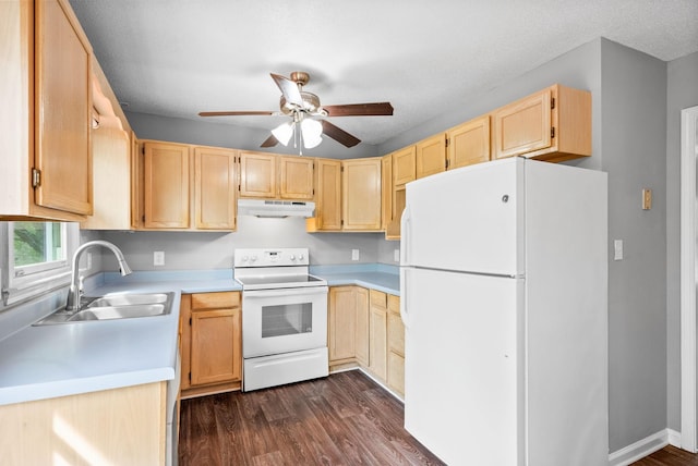 3404 Albert Dr, Clarksville, TN 37042 - kitchen with ceiling fan, a sink, light brown cabinets, white appliances, and dark wood-type flooring
