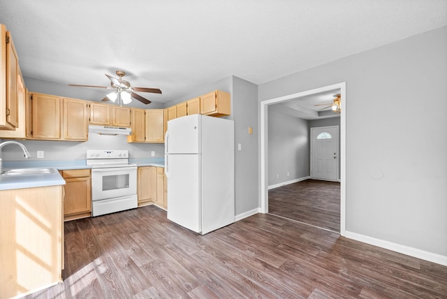 3404 Albert Dr, Clarksville, TN 37042 - kitchen featuring a sink, ceiling fan, under cabinet range hood, and white appliances