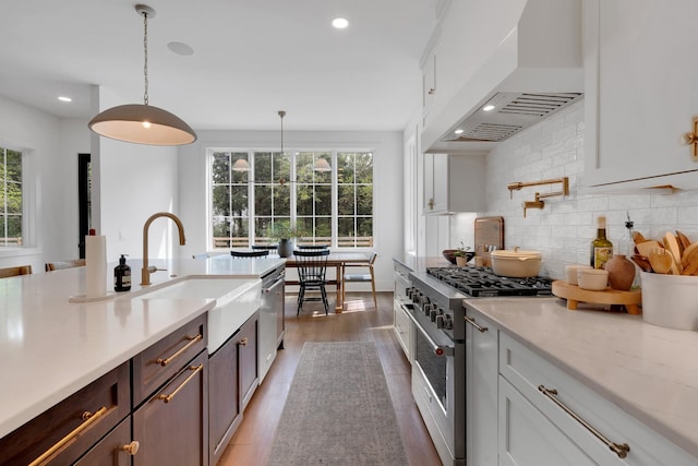 kitchen featuring decorative backsplash, plenty of natural light, custom range hood, a sink, and stainless steel appliances