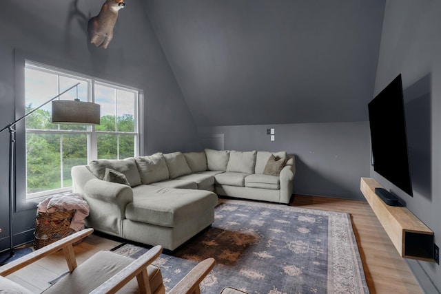 living room with wood finished floors and lofted ceiling