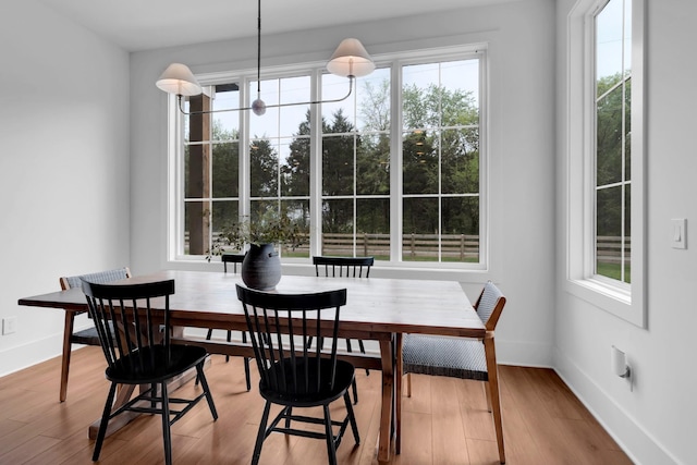 dining space featuring a healthy amount of sunlight, baseboards, and wood finished floors