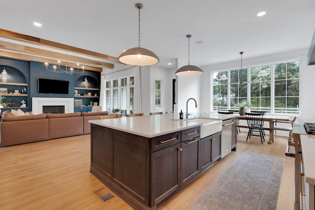 kitchen with dark brown cabinetry, light countertops, a sink, light wood finished floors, and dishwasher