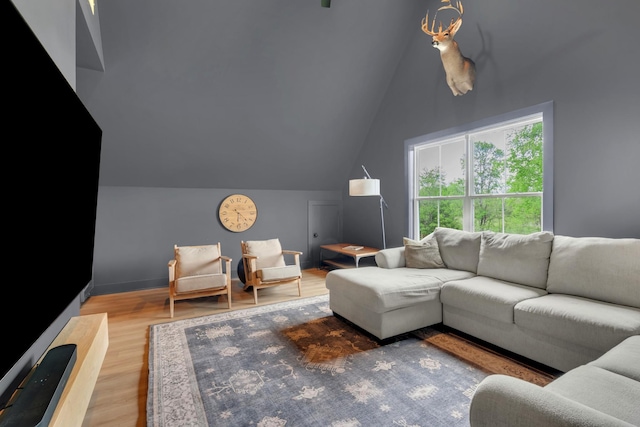 living room featuring wood finished floors and lofted ceiling