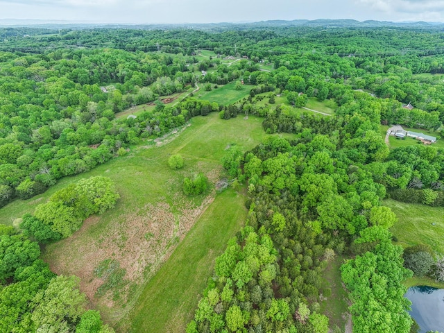 4923 Ash Hill Rd, Spring Hill, TN 37174 - photo 34
