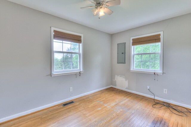 4923 Ash Hill Rd, Spring Hill, TN 37174 - photo 17