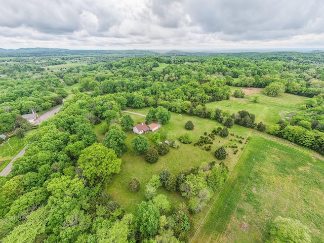 4923 Ash Hill Rd, Spring Hill, TN 37174 - photo 44