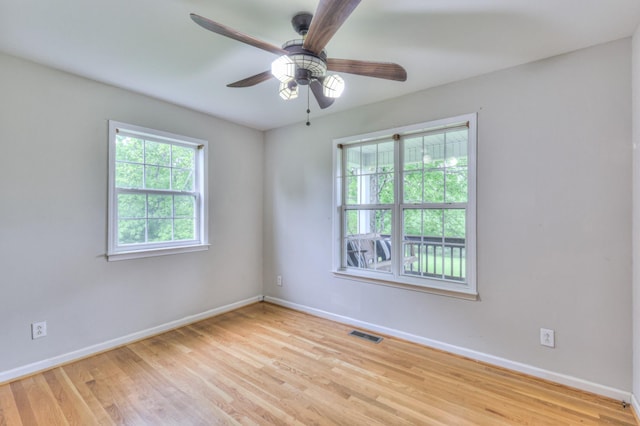 4923 Ash Hill Rd, Spring Hill, TN 37174 - photo 14