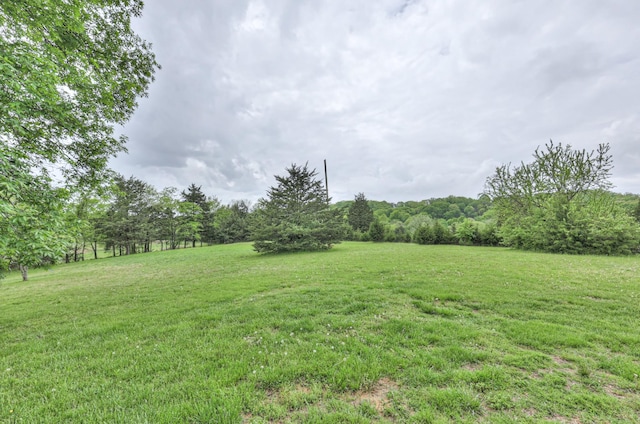 4923 Ash Hill Rd, Spring Hill, TN 37174 - photo 31