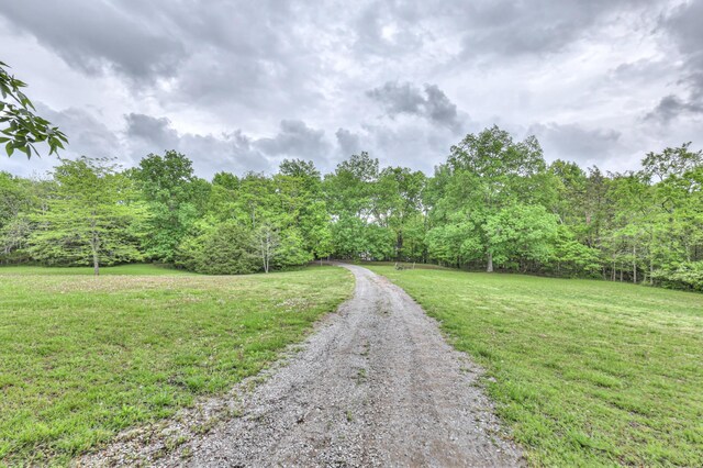 4923 Ash Hill Rd, Spring Hill, TN 37174 - photo 30