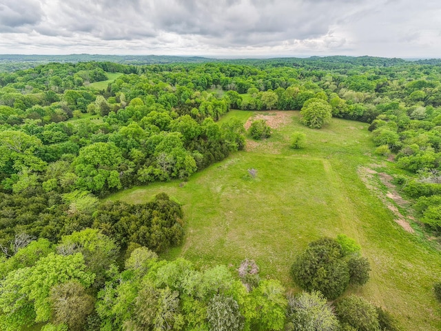 4923 Ash Hill Rd, Spring Hill, TN 37174 - photo 37
