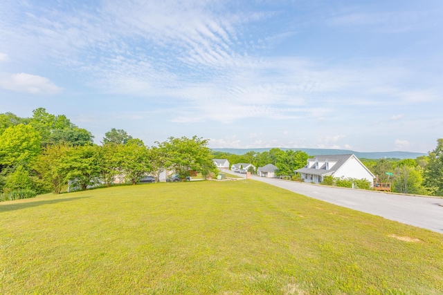 view of yard with driveway