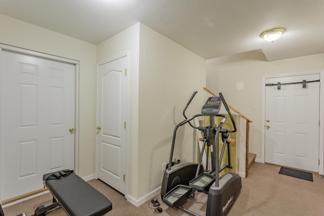 workout area featuring baseboards and carpet