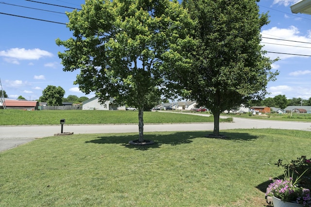 6241 Eskew Dr, Columbia, TN 38401 - view of green lawn