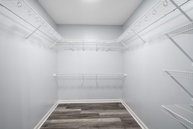 6241 Eskew Dr, Columbia, TN 38401 - walk in closet featuring wood finished floors
