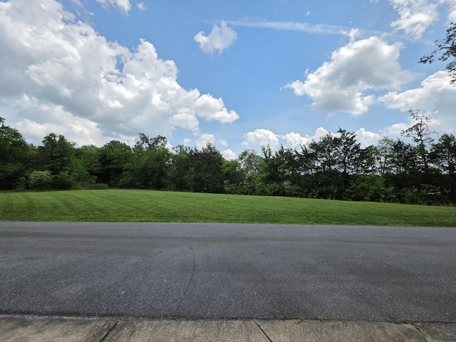 view of road with a wooded view