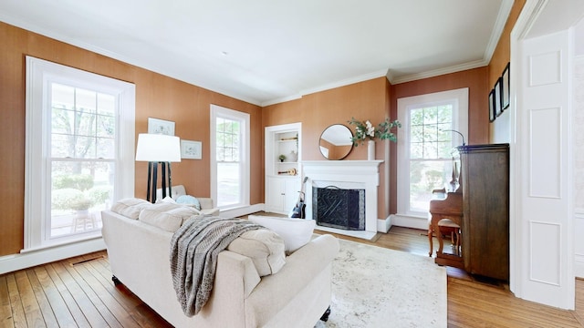 living area featuring wood-type flooring, crown molding, baseboards, and a fireplace
