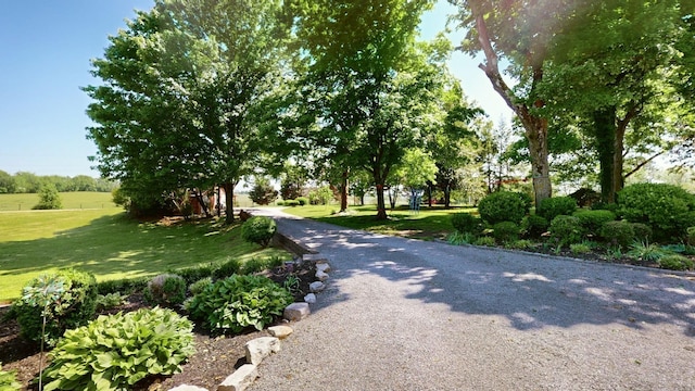 view of home's community featuring a yard
