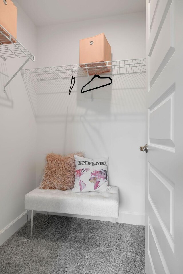 952 Pleasant Ridge Run, Mount Juliet, TN 37122 - spacious closet featuring carpet flooring