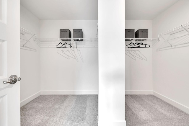 952 Pleasant Ridge Run, Mount Juliet, TN 37122 - walk in closet featuring carpet
