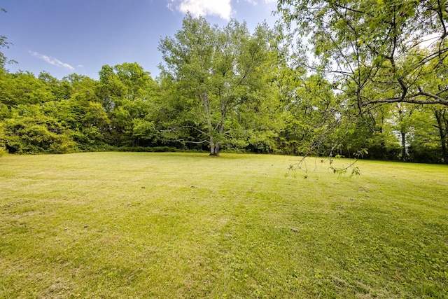 5720 Templegate Dr, Nashville, TN 37221 - photo 47
