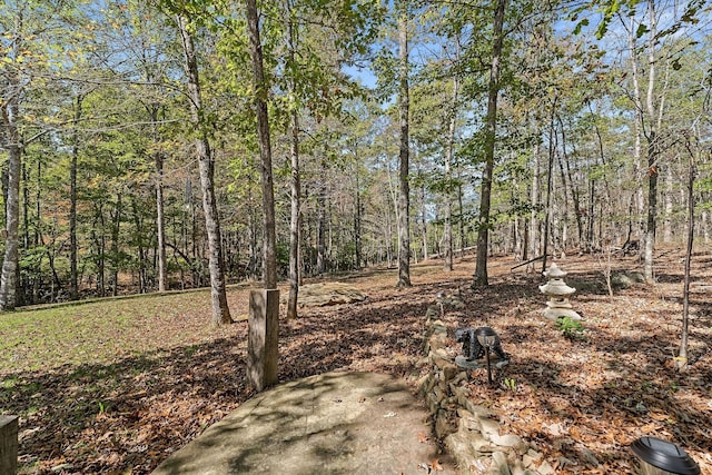 view of yard with a wooded view