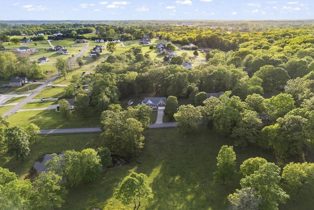 drone / aerial view