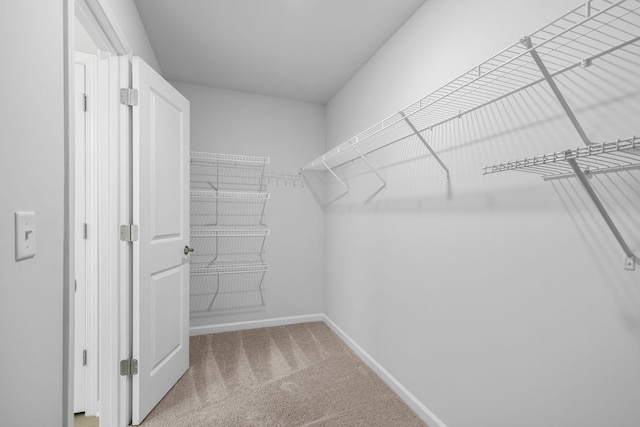 3021 Posada Ct, Spring Hill, TN 37174 - walk in closet featuring carpet