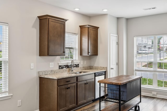 100 Bergen Dr, Spring Hill, TN 37174 - kitchen featuring a sink, stainless steel dishwasher, wood finished floors, and a wealth of natural light