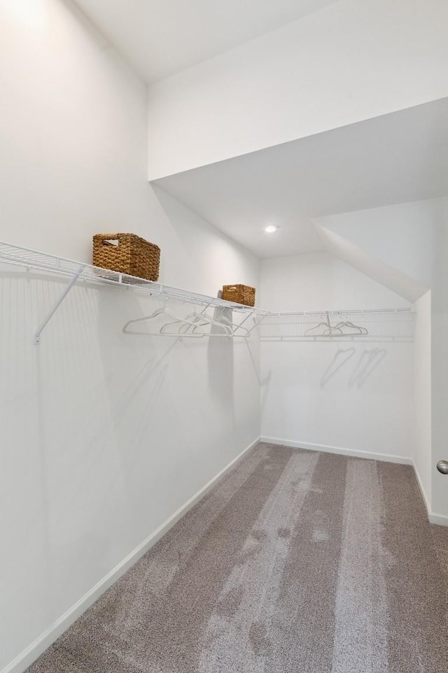 walk in closet featuring carpet floors