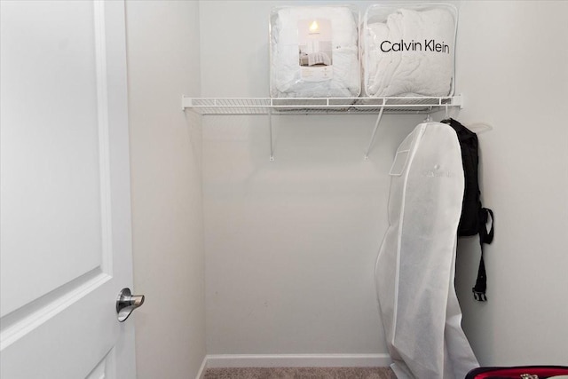 3294 Holiday Ln, Columbia, TN 38401 - walk in closet with carpet