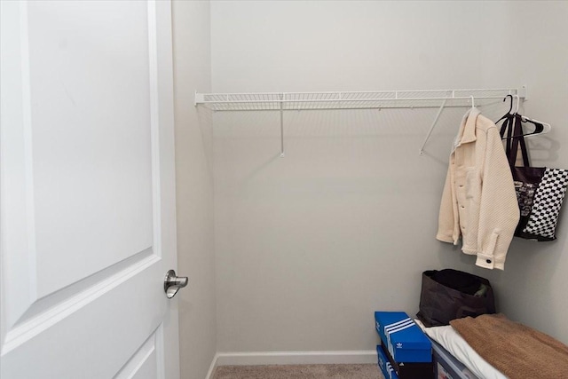 3294 Holiday Ln, Columbia, TN 38401 - spacious closet featuring carpet floors