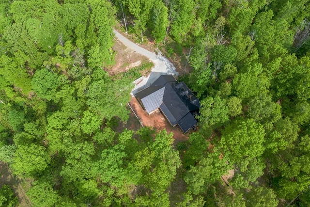 8360 Pinewood Rd, Lyles, TN 37098 - bird's eye view