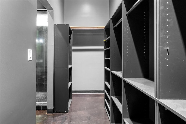 8360 Pinewood Rd, Lyles, TN 37098 - view of spacious closet