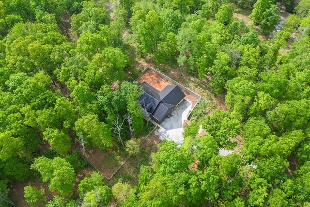 8360 Pinewood Rd, Lyles, TN 37098 - bird's eye view