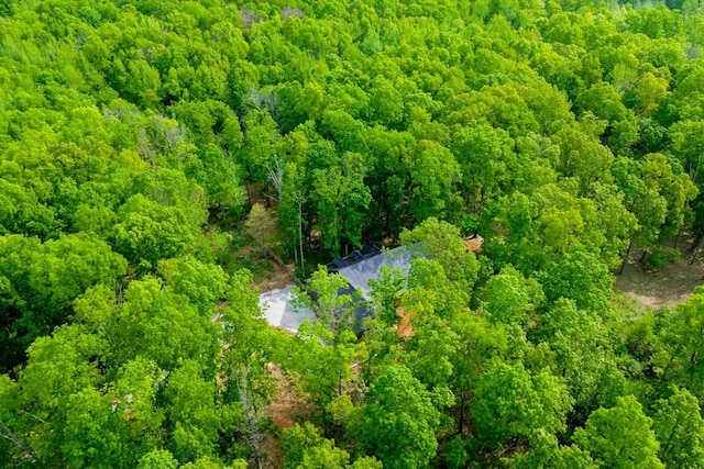 8360 Pinewood Rd, Lyles, TN 37098 - aerial view featuring a forest view