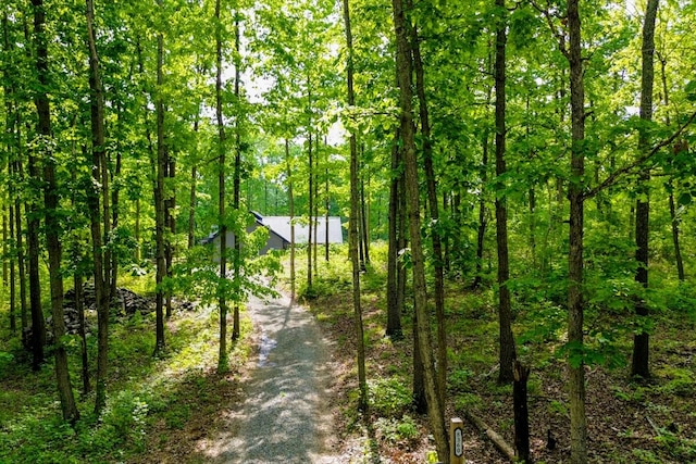 8360 Pinewood Rd, Lyles, TN 37098 - exterior space featuring a wooded view