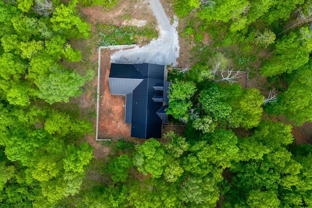 8360 Pinewood Rd, Lyles, TN 37098 - birds eye view of property