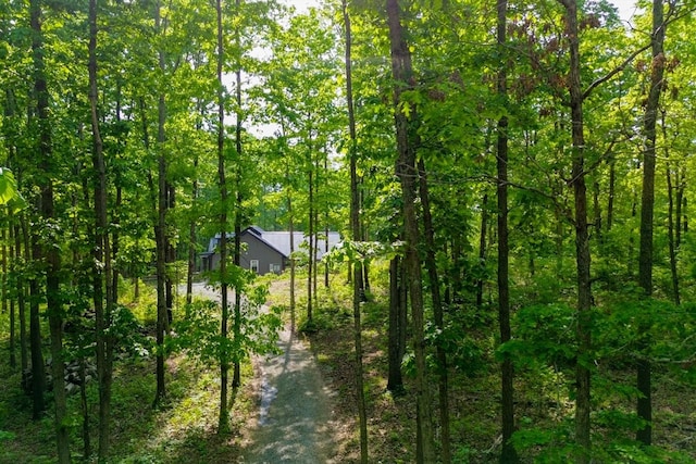 8360 Pinewood Rd, Lyles, TN 37098 - exterior space with a forest view