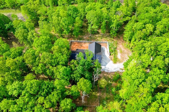 8360 Pinewood Rd, Lyles, TN 37098 - birds eye view of property