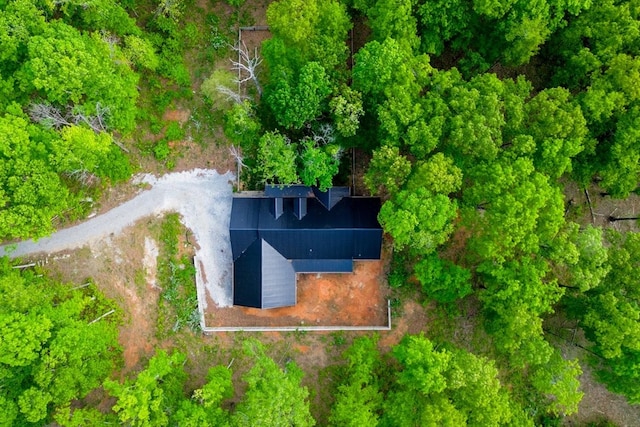 8360 Pinewood Rd, Lyles, TN 37098 - drone / aerial view