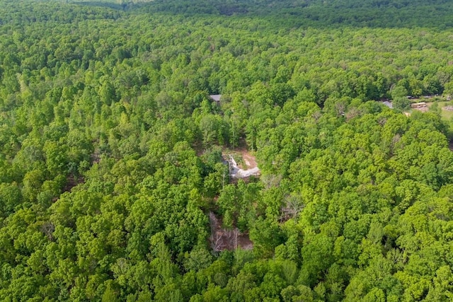 8360 Pinewood Rd, Lyles, TN 37098 - bird's eye view featuring a view of trees