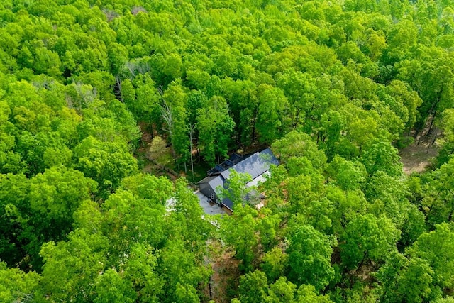 8360 Pinewood Rd, Lyles, TN 37098 - aerial view with a wooded view