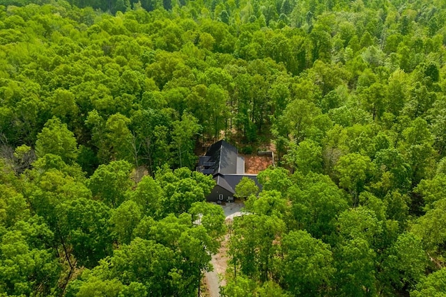 8360 Pinewood Rd, Lyles, TN 37098 - bird's eye view featuring a forest view