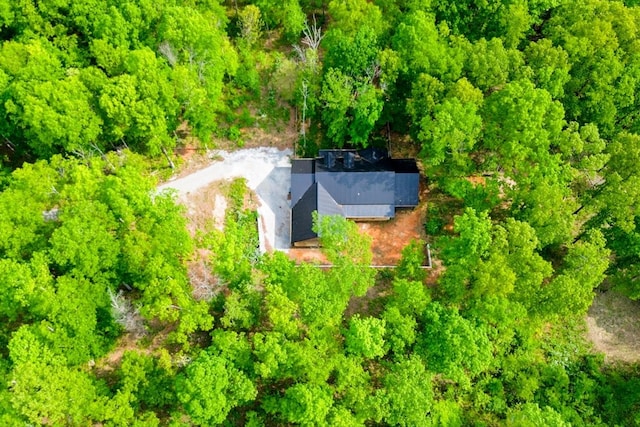 8360 Pinewood Rd, Lyles, TN 37098 - drone / aerial view