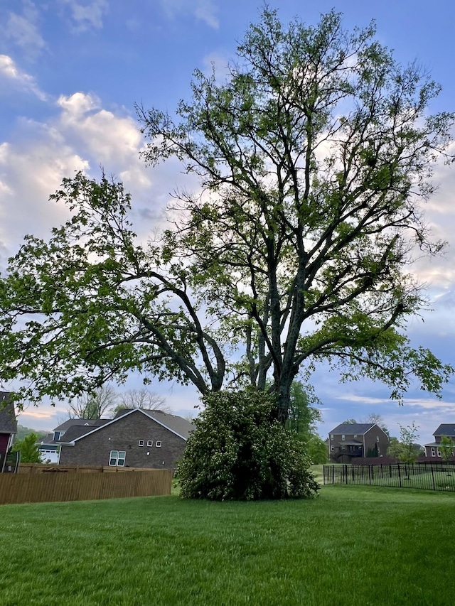 820 Turnbo Dr, Gallatin, TN 37066 - view of yard with fence