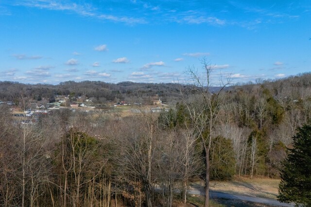 1071 Louisville Hwy, Goodlettsville, TN 37072 - photo 17